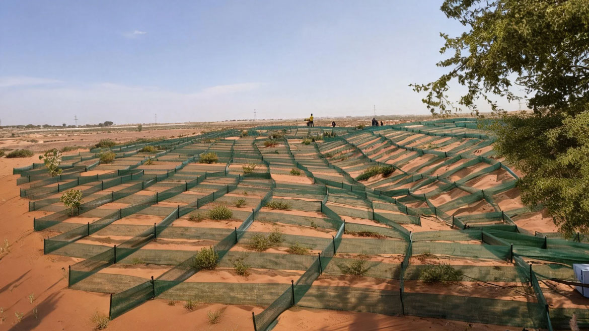 Aerial seeding afforestation